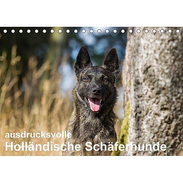 ausdrucksvolle Holländische Schäferhunde (Tischkalender 2018 DIN A5 quer), Verena Scholze