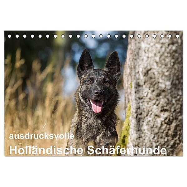ausdrucksvolle Holländische Schäferhunde (Tischkalender 2024 DIN A5 quer), CALVENDO Monatskalender, Fotodesign Verena Scholze