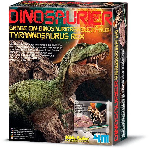 HCM Kinzel Ausgr. Dino Tyrannosaurus