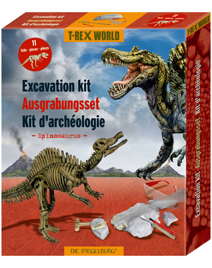 Dinosaurier Pterosaur Ausgrabungs Set mit Zubehör 