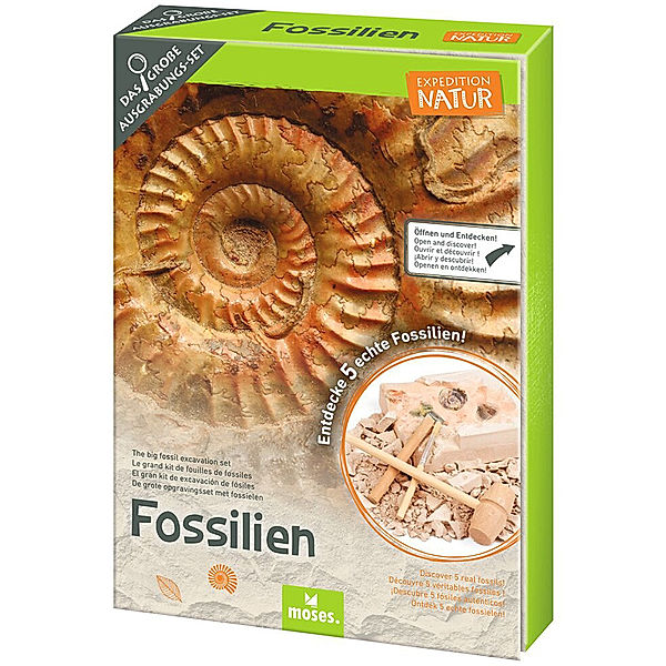 moses Verlag Ausgrabungsset EXPEDITION NATUR - FOSSILIEN