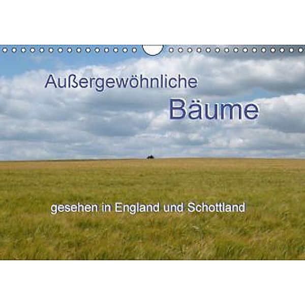 Außergewöhnliche Bäume (Wandkalender 2016 DIN A4 quer), bwd