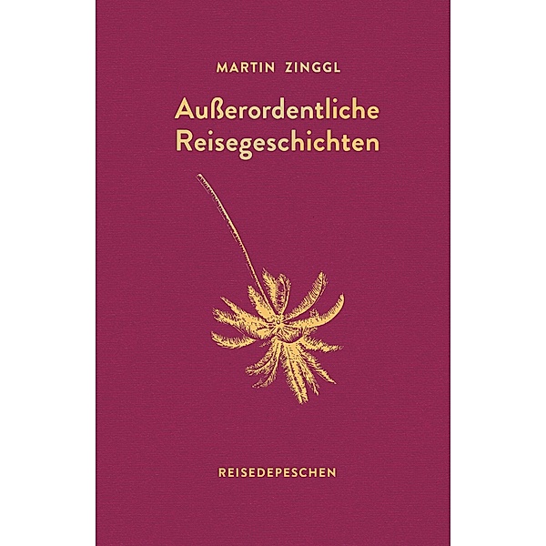 Ausserordentliche Reisegeschichten, Martin Zinggl, Reisedepeschen