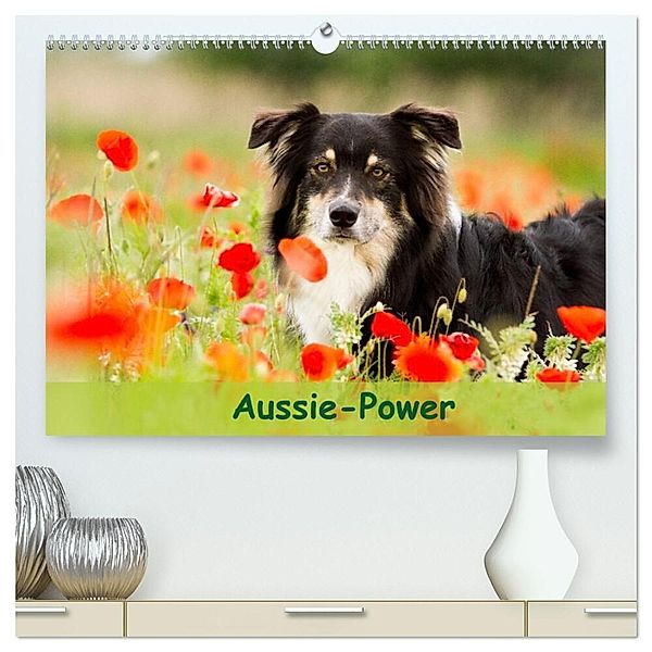 Aussie-Power (hochwertiger Premium Wandkalender 2024 DIN A2 quer), Kunstdruck in Hochglanz, Andrea Mayer