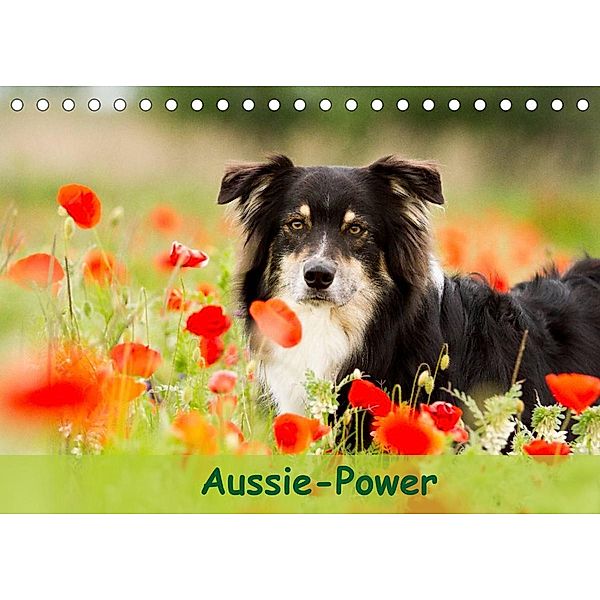 Aussie-Power (Tischkalender 2023 DIN A5 quer), Andrea Mayer