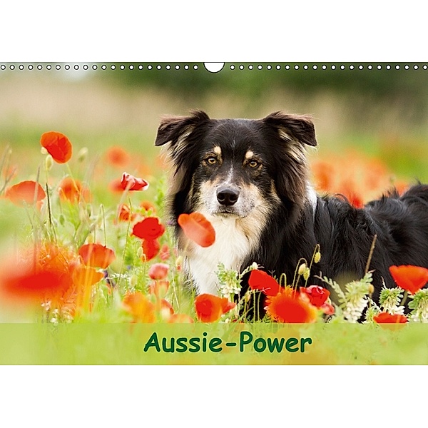 Aussie-Power (Wandkalender 2018 DIN A3 quer), Andrea Mayer