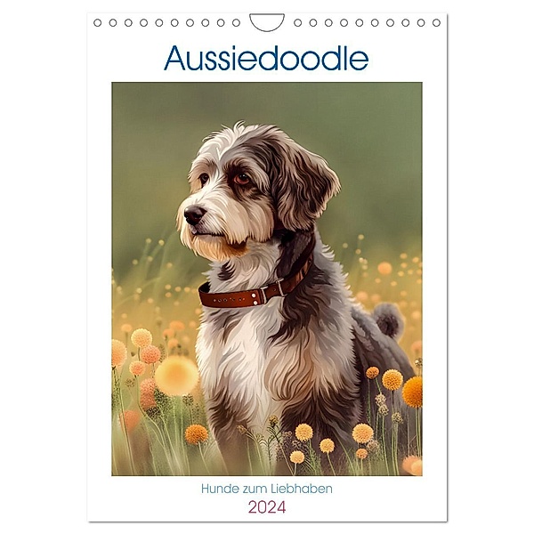 Aussiedoodle - Hunde zum Liebhaben (Wandkalender 2024 DIN A4 hoch), CALVENDO Monatskalender, Angelika Beuck