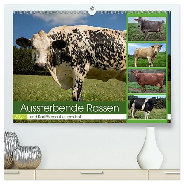 Aussterbende Rassen und Raritäten (hochwertiger Premium Wandkalender 2024 DIN A2 quer), Kunstdruck in Hochglanz, Heidi Renné