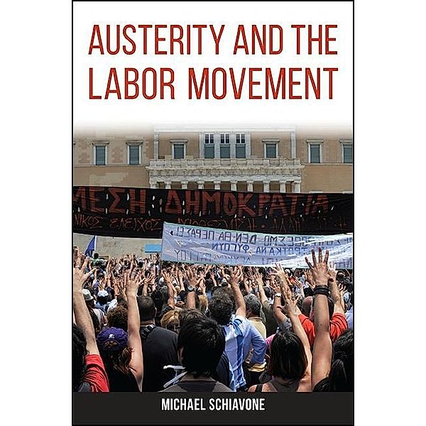 Austerity and the Labor Movement / SUNY Press, Michael Schiavone