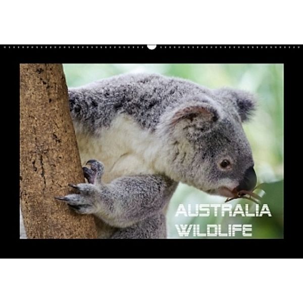 Australia Wildlife (Wandkalender 2015 DIN A2 quer), Wolfgang Schömig