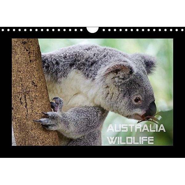 Australia Wildlife (Wandkalender 2017 DIN A4 quer), Luxscriptura by Wolfgang Schömig, Wolfgang Schömig
