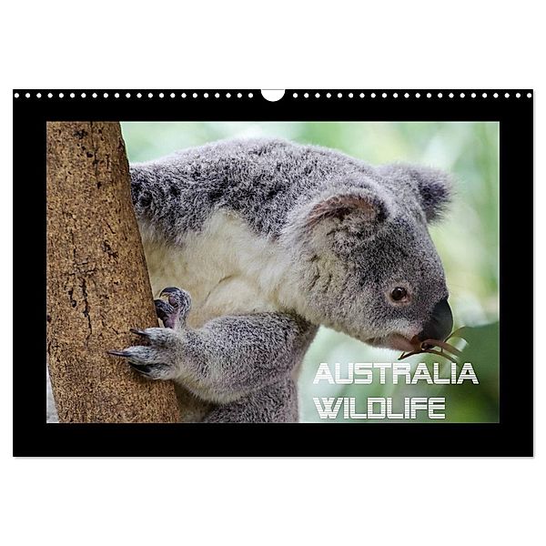 Australia Wildlife (Wandkalender 2024 DIN A3 quer), CALVENDO Monatskalender, Luxscriptura by Wolfgang Schömig
