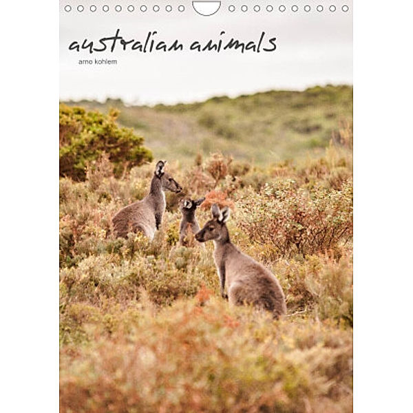 australian animals (Wandkalender 2022 DIN A4 hoch), Arno Kohlem