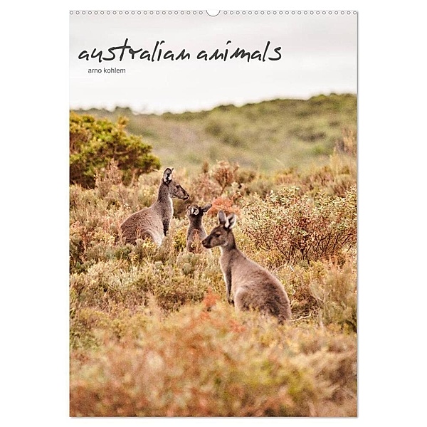 australian animals (Wandkalender 2024 DIN A2 hoch), CALVENDO Monatskalender, Arno Kohlem