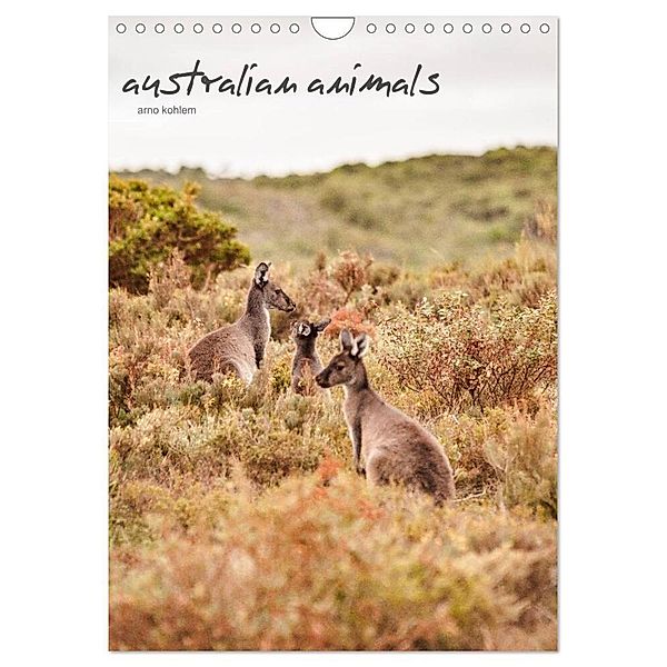 australian animals (Wandkalender 2025 DIN A4 hoch), CALVENDO Monatskalender, Calvendo, Arno Kohlem