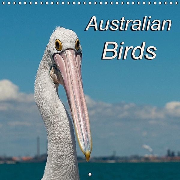 Australian Birds (Wall Calendar 2018 300 × 300 mm Square), Sidney Smith