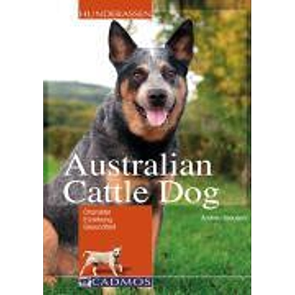 Australian Cattle Dog, Andrea Kreusch