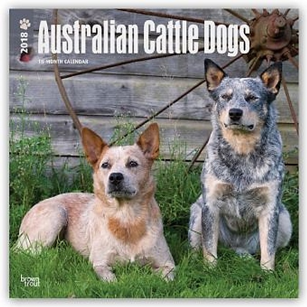 Australian Cattle Dogs 2018 - Australische Cattle Dogs - 18-Monatskalender mit freier DogDays-App, BrownTrout Publisher