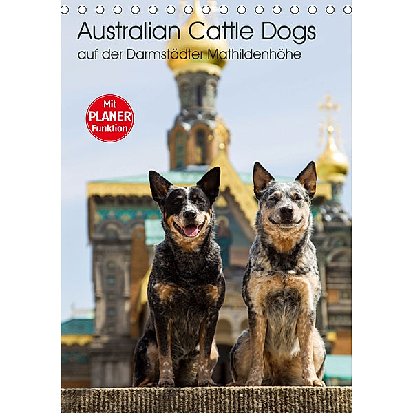 Australian Cattle Dogs auf der Darmstädter Mathildenhöhe (Tischkalender 2019 DIN A5 hoch), Verena Scholze