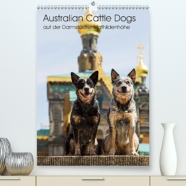 Australian Cattle Dogs auf der Darmstädter Mathildenhöhe (Premium-Kalender 2020 DIN A2 hoch), Verena Scholze