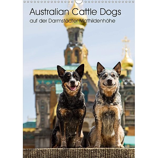 Australian Cattle Dogs auf der Darmstädter Mathildenhöhe (Wandkalender 2021 DIN A3 hoch), Fotodesign Verena Scholze
