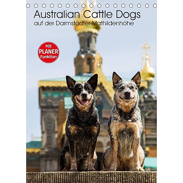 Australian Cattle Dogs auf der Darmstädter Mathildenhöhe (Tischkalender 2023 DIN A5 hoch), Fotodesign Verena Scholze