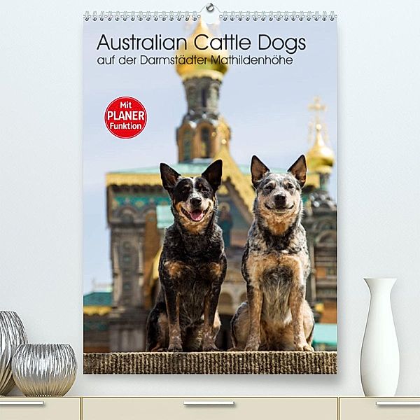 Australian Cattle Dogs auf der Darmstädter Mathildenhöhe (Premium, hochwertiger DIN A2 Wandkalender 2023, Kunstdruck in, Fotodesign Verena Scholze