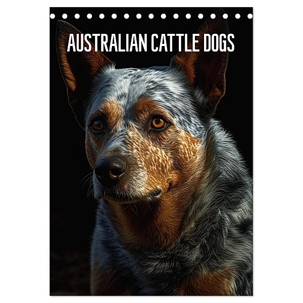Australian Cattle Dogs (Tischkalender 2024 DIN A5 hoch), CALVENDO Monatskalender, Tim Alberts
