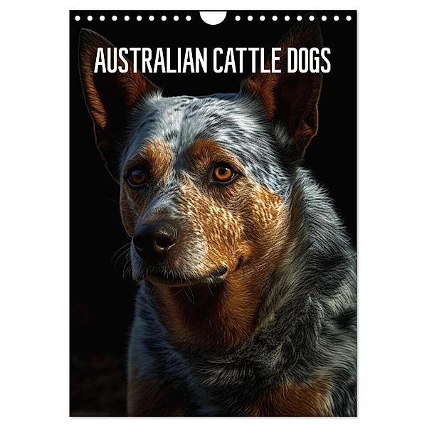 Australian Cattle Dogs (Wandkalender 2024 DIN A4 hoch), CALVENDO Monatskalender, Tim Alberts