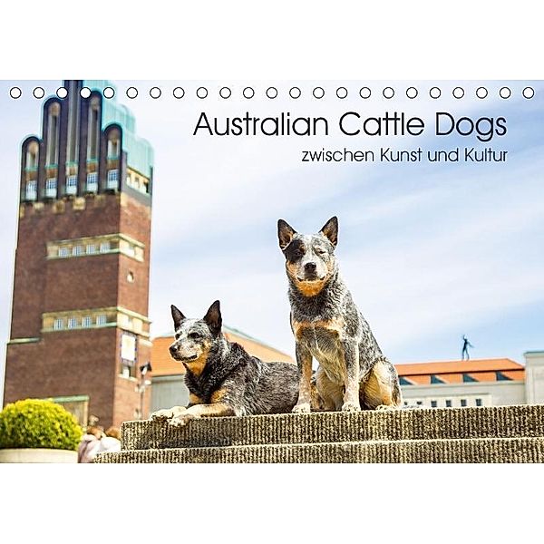 Australian Cattle Dogs zwischen Kunst und Kultur (Tischkalender 2017 DIN A5 quer), Verena Scholze