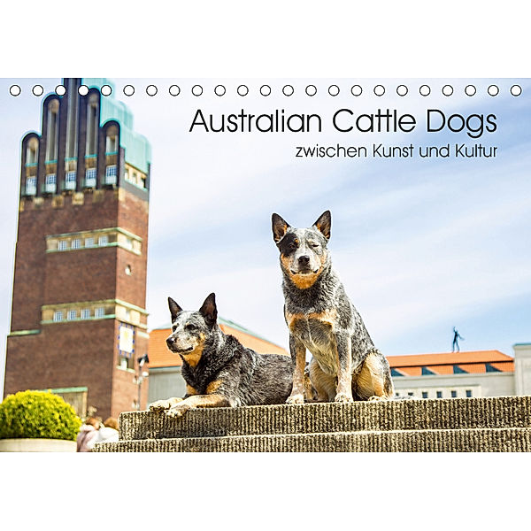 Australian Cattle Dogs zwischen Kunst und Kultur (Tischkalender 2019 DIN A5 quer), Verena Scholze