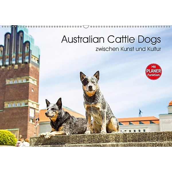 Australian Cattle Dogs zwischen Kunst und Kultur (Wandkalender 2020 DIN A2 quer), Verena Scholze