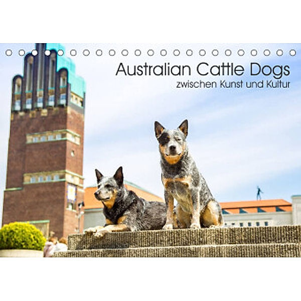 Australian Cattle Dogs zwischen Kunst und Kultur (Tischkalender 2022 DIN A5 quer), Fotodesign Verena Scholze