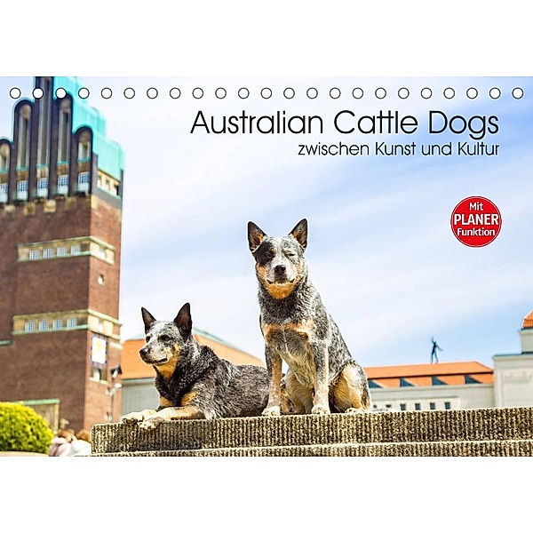 Australian Cattle Dogs zwischen Kunst und Kultur (Tischkalender 2023 DIN A5 quer), Fotodesign Verena Scholze