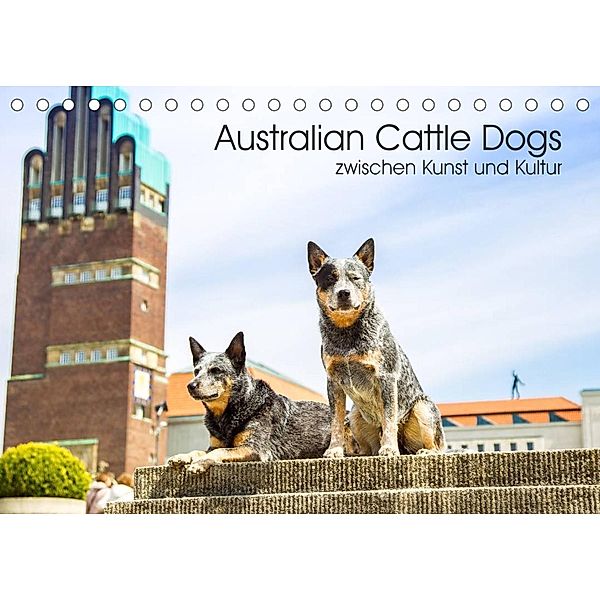 Australian Cattle Dogs zwischen Kunst und Kultur (Tischkalender 2023 DIN A5 quer), Fotodesign Verena Scholze