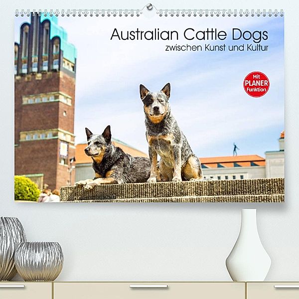 Australian Cattle Dogs zwischen Kunst und Kultur (Premium, hochwertiger DIN A2 Wandkalender 2023, Kunstdruck in Hochglan, Fotodesign Verena Scholze