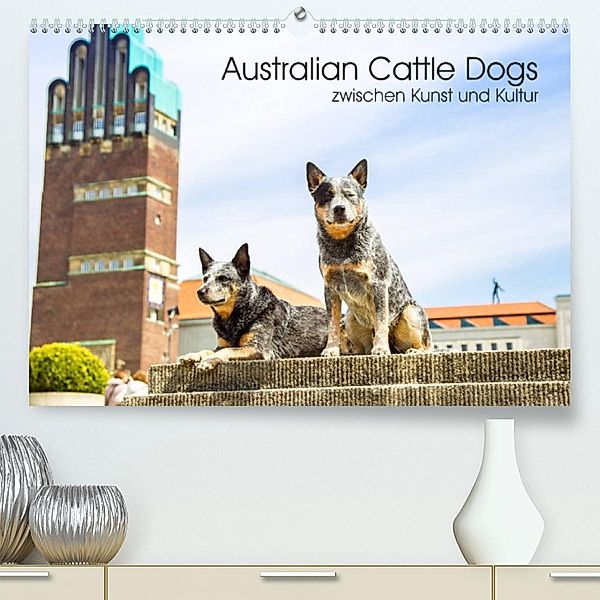 Australian Cattle Dogs zwischen Kunst und Kultur (Premium, hochwertiger DIN A2 Wandkalender 2023, Kunstdruck in Hochglan, Fotodesign Verena Scholze