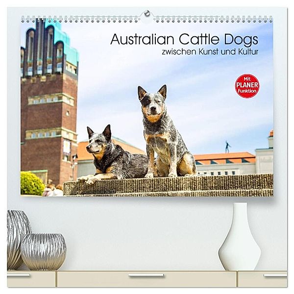 Australian Cattle Dogs zwischen Kunst und Kultur (hochwertiger Premium Wandkalender 2024 DIN A2 quer), Kunstdruck in Hochglanz, Fotodesign Verena Scholze
