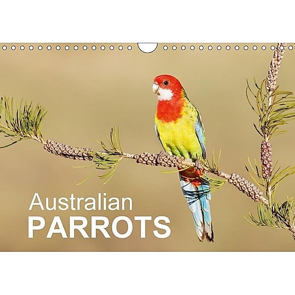 Australian Parrots (Wall Calendar 2017 DIN A4 Landscape), BIA - birdimagency