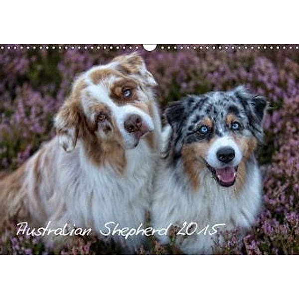 Australian Shepherd 2015 (Wandkalender 2015 DIN A3 quer), www.tierpfoto.de