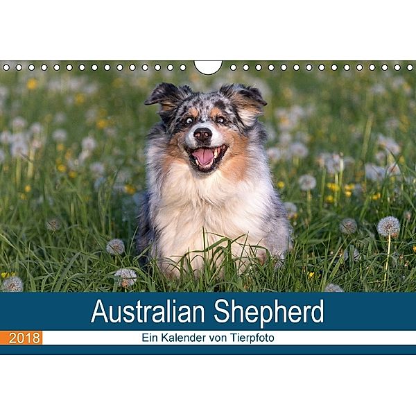 Australian Shepherd 2018 (Wandkalender 2018 DIN A4 quer) Dieser erfolgreiche Kalender wurde dieses Jahr mit gleichen Bil, Annett Mirsberger