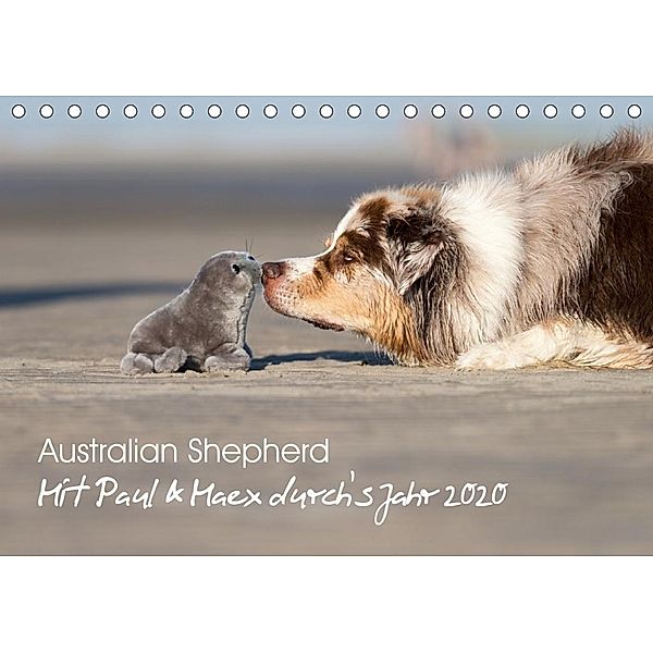 Australian Shepherd 2020 (Tischkalender 2020 DIN A5 quer), Annett Mirsberger