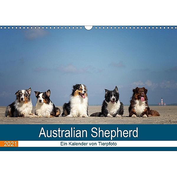 Australian Shepherd 2021 (Wandkalender 2021 DIN A3 quer), Annett Mirsberger www.annettmirsberger.de