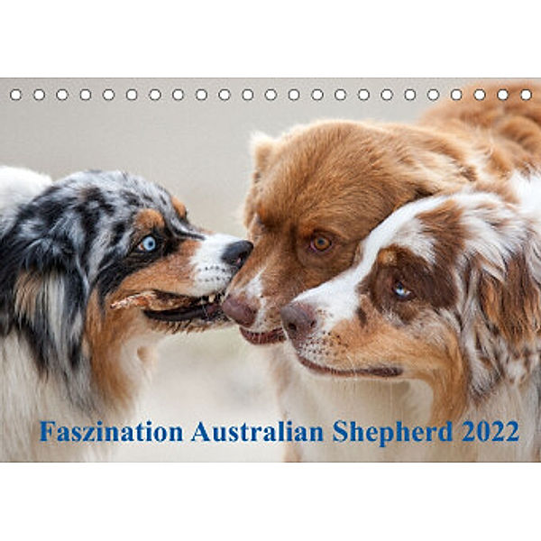 Australian Shepherd 2022 (Tischkalender 2022 DIN A5 quer), Annett Mirsberger