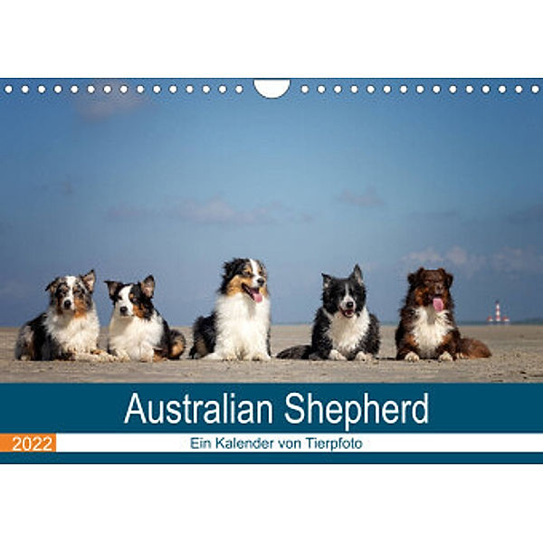 Australian Shepherd 2022 (Wandkalender 2022 DIN A4 quer), Annett Mirsberger www.annettmirsberger.de