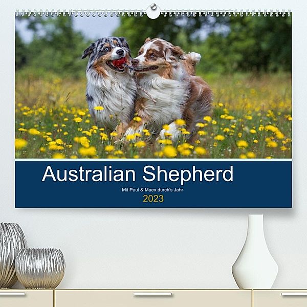 Australian Shepherd 2023 (Premium, hochwertiger DIN A2 Wandkalender 2023, Kunstdruck in Hochglanz), Annett Mirsberger