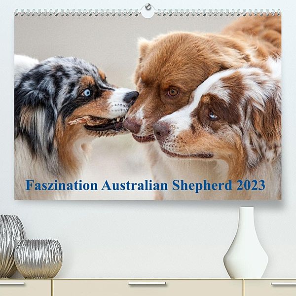 Australian Shepherd 2023 (Premium, hochwertiger DIN A2 Wandkalender 2023, Kunstdruck in Hochglanz), Annett Mirsberger