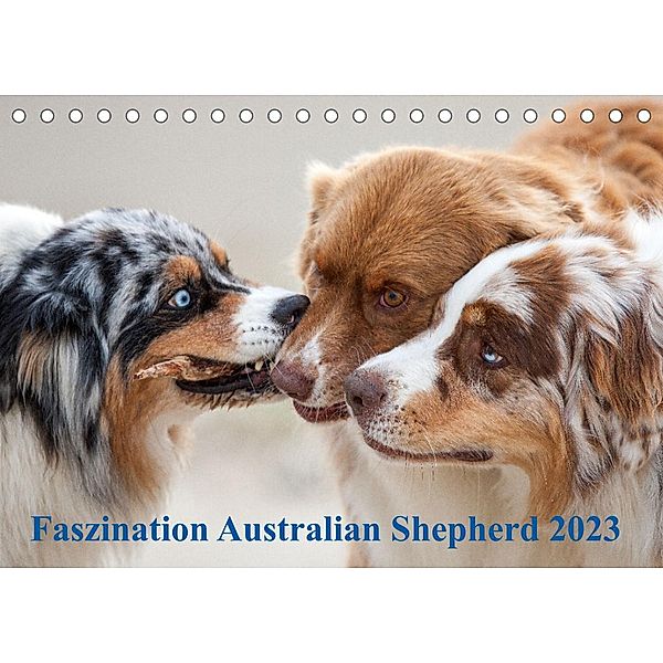 Australian Shepherd 2023 (Tischkalender 2023 DIN A5 quer), Annett Mirsberger