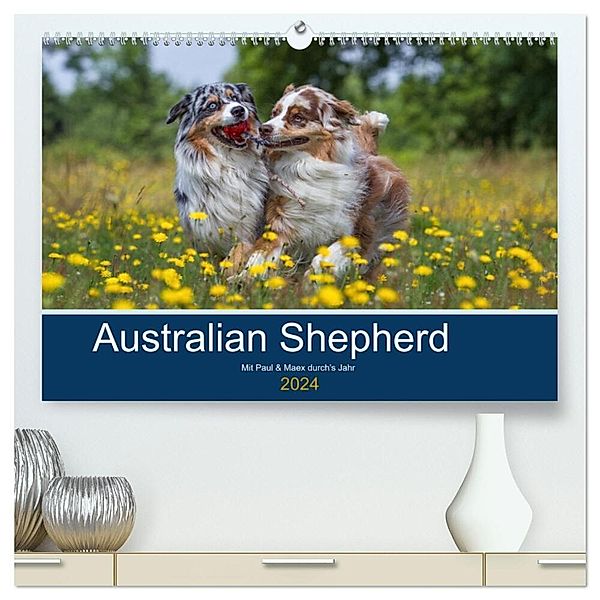 Australian Shepherd 2024 (hochwertiger Premium Wandkalender 2024 DIN A2 quer), Kunstdruck in Hochglanz, Annett Mirsberger