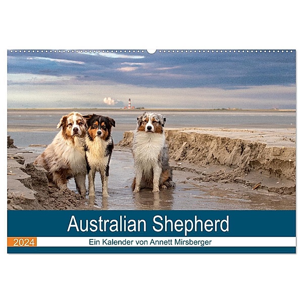 Australian Shepherd 2024 (Wandkalender 2024 DIN A2 quer), CALVENDO Monatskalender, Annett Mirsberger